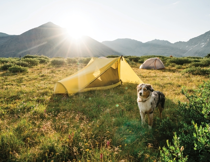 Летние развлечения на территории курорта Красная Поляна - Отель Panorama by Mercure / Меркури Панорама Красная Поляна