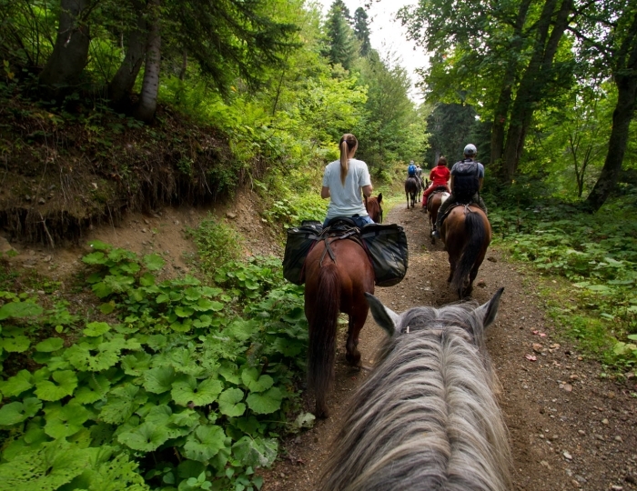 Летние развлечения на территории курорта Красная Поляна - Отель Panorama by Mercure / Меркури Панорама Красная Поляна